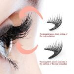 Magnetic False Eyelashes One-pair Package Natural - Image 2