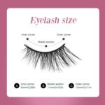 Natural Lashes Wispy Lashes Natural Look False Eyelashes Natural Flared Eyelashes False Eye Lashes Soft Fluffy Lashes 7 Pairs 6mm Gradual 13mm Cat's Eye Transparent Stem Eye Tail Elongated Half Eye Na - Image 3